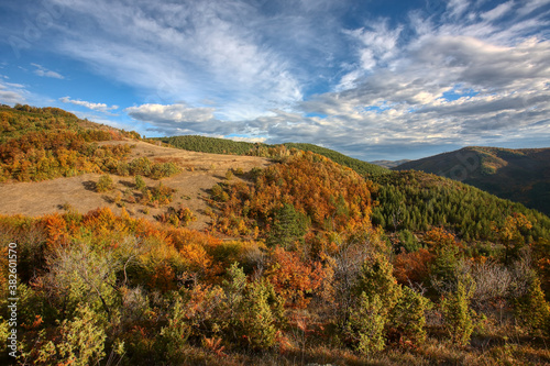 Wonderful landscape in autumn. Trees in yellow foliage. Mountain in fall colors.Colorful mountain landscape. Autumn in the mountains. © photokrle
