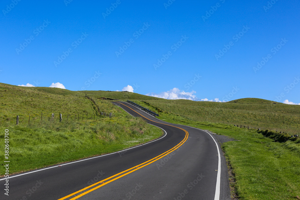 Naklejka premium The most beautiful country road, Hawaii