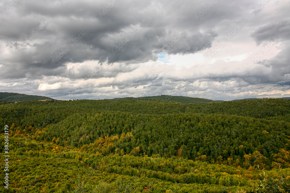Wonderful landscape in autumn. Trees in yellow foliage. Mountain in fall colors.Colorful mountain landscape. Autumn in the mountains. Wonderful landscape in autumn. Trees in yellow foliage. Mountain in fall colors.Colorful mountain landscape. Autumn in the mountains.