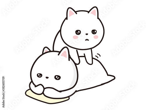 整体　施術を受ける猫