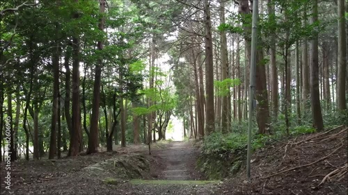 京都府　亀岡市　松尾神社　参道
