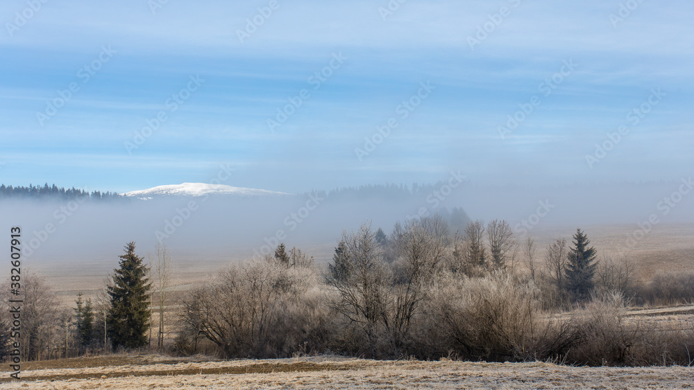 winter landscape in the Tatras near Namestovo winter landscape in the Tatras near Namestovo