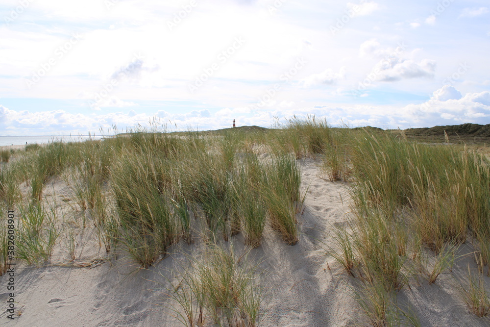 Being isolated in the dunes at Ellenbogen in the North of Sylt close to the village of List 