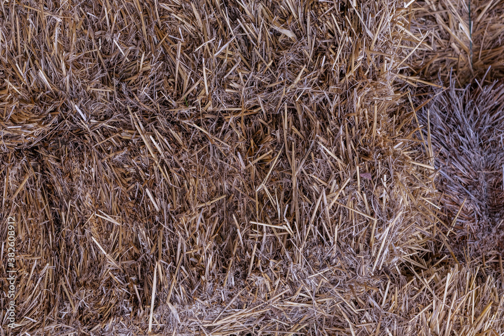 background farm dried hay dark brown, country natural grass design background farm dried hay dark brown, country natural grass design