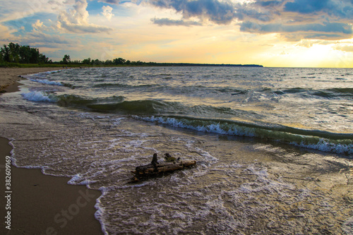 Driftwood On The Beach. Waves wash a large piece of driftwood ashore at sunset on the coast of Lake Huron in Port Crescent State Park in Michigan.
