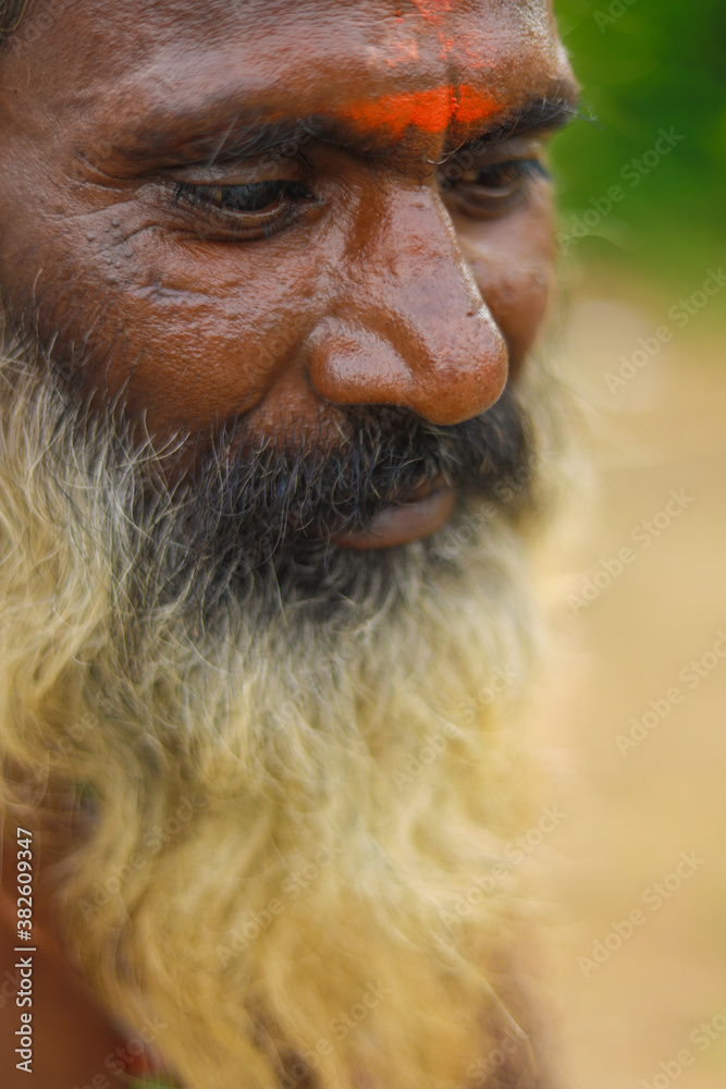 Obraz premium Portrait of Indian sadhu ,Indian old monk sadhu