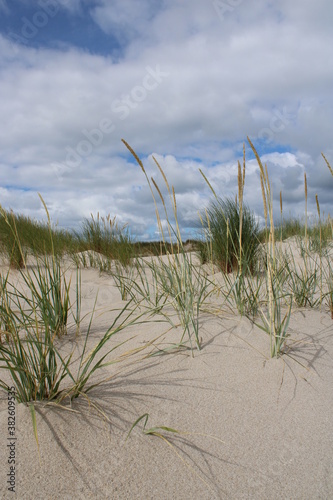 Being isolated in the dunes at Ellenbogen in the North of Sylt close to the village of List 