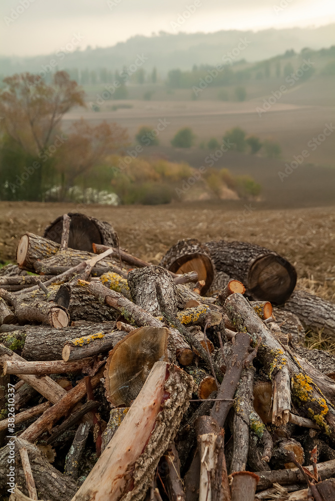 Pile of firewood among the Marche hills