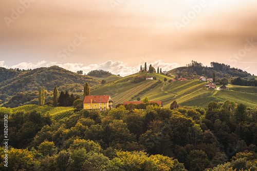 Styrian Tuscany Vineyard in autumn near Eckberg, Gamliz, Styria, Austria photo