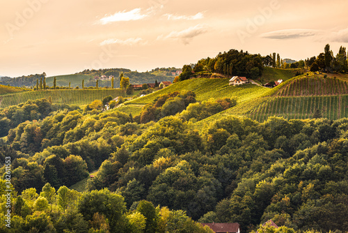 Styrian Tuscany Vineyard in autumn near Eckberg  Gamliz  Styria  Austria