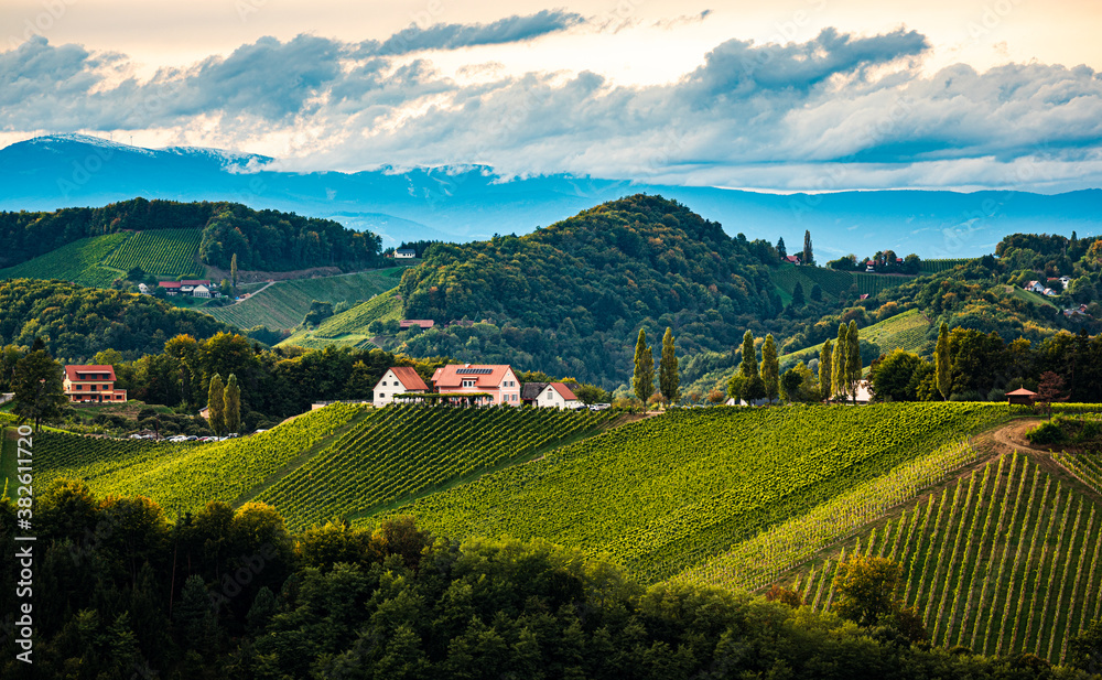 Styrian Tuscany Vineyard in autumn near Eckberg, Gamliz, Styria, Austria