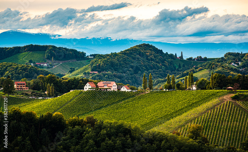 Styrian Tuscany Vineyard in autumn near Eckberg  Gamliz  Styria  Austria