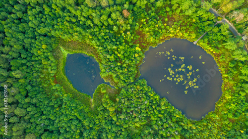 Lakes in the middle of the forest, Lithuania, Druskininkai, 