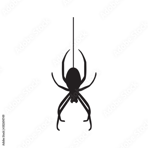 Halloween black vector illustration with a spider hangs on a web isolated on white background.