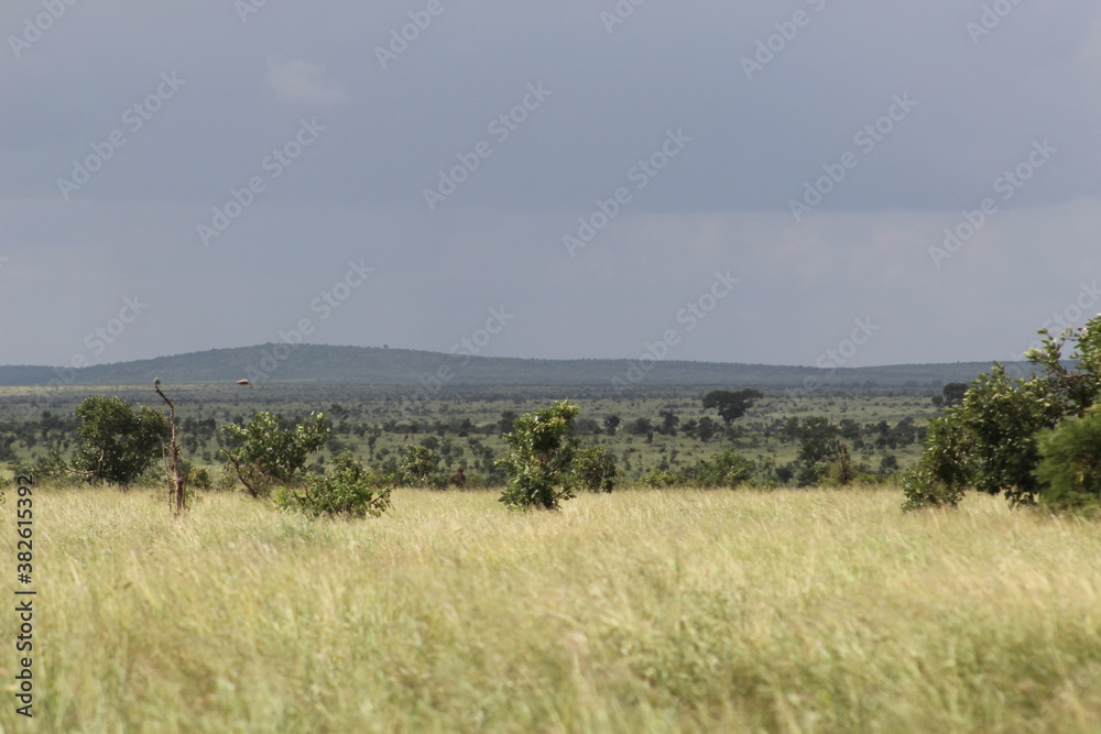 Photo taken in Kruger National Park