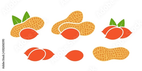 Peanut logo.  Isolated peanut on white background