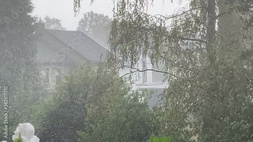 Rain in the garden from the balcony