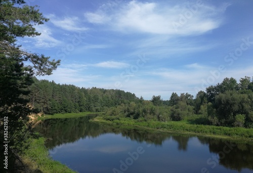 Fototapeta Naklejka Na Ścianę i Meble -  river and forest