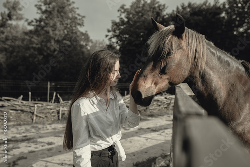 beautiful girl in a white shirt stroking her white horse over the fence at the ranch. cinematic photography