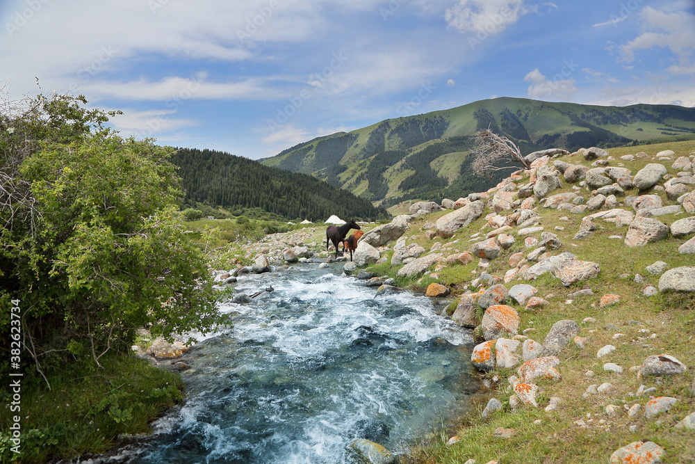 nature of tourist Kyrgyzstan .A clear, stormy river among mountains and rocks.