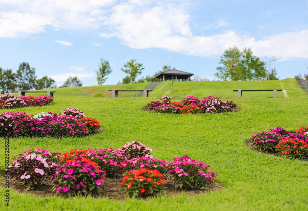 Obraz premium 国営越後丘陵公園 景観
