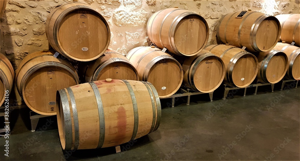 wine barrels in cellar