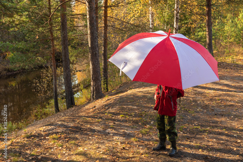 autumn story, a boy in a beautiful multi-colored forest with an umbrella on the shore of a natural reservoir