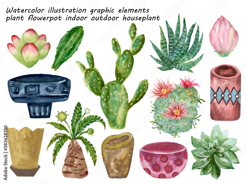 Fototapeta premium watercolor illustration graphic elements plant flower pot indoor outdoor cactus succulents hand paint on white
