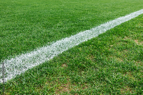 Green grass with white line of football soccer field background