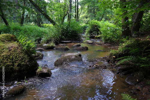 Fluss  Bach  Wald  Steine