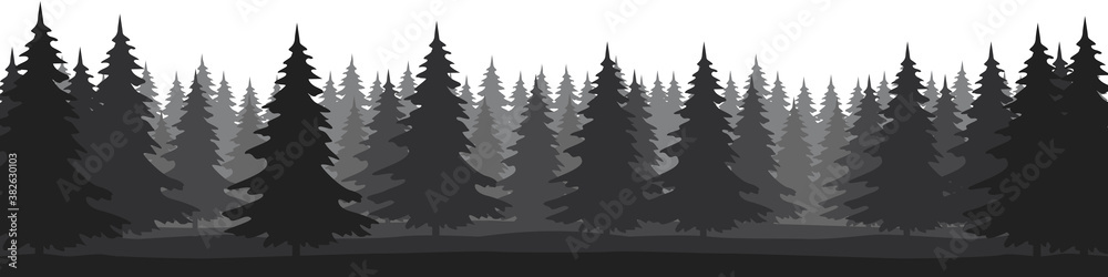 Fototapeta premium Forest landscape with silhouettes of coniferous trees. Horizontal backgrounds of nature. Vector illustration 