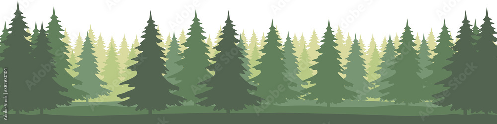 Forest landscape with silhouettes of coniferous trees. Horizontal backgrounds of nature. Vector illustration
