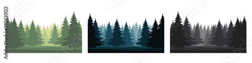 Set of forest landscapes with silhouettes of coniferous trees. Horizontal backgrounds of nature. Vector illustration 