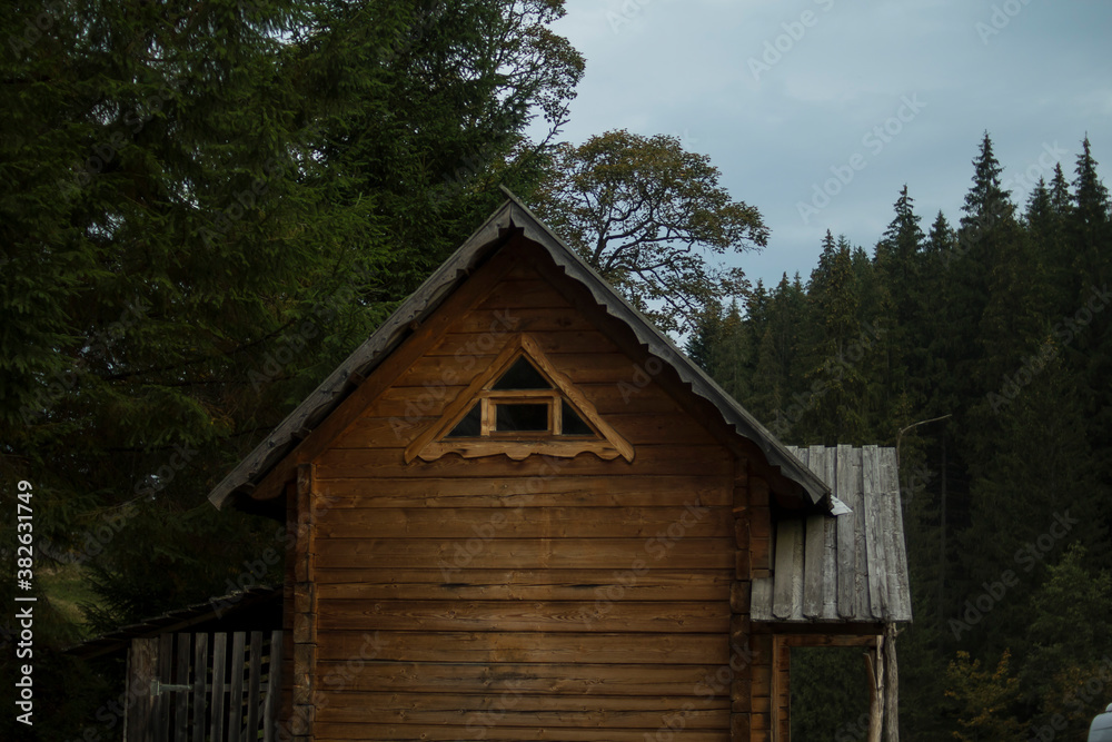 Wooden houses against the background of a dense coniferous forest