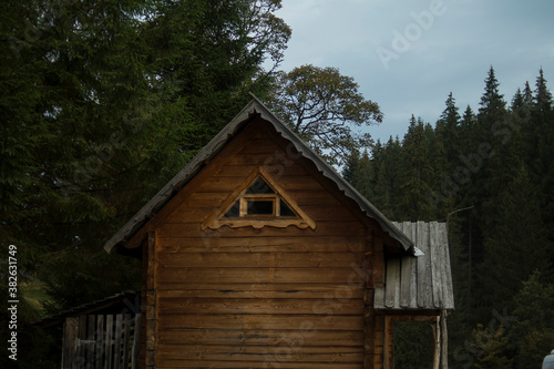 Wooden houses against the background of a dense coniferous forest © Ирина Сизоненко