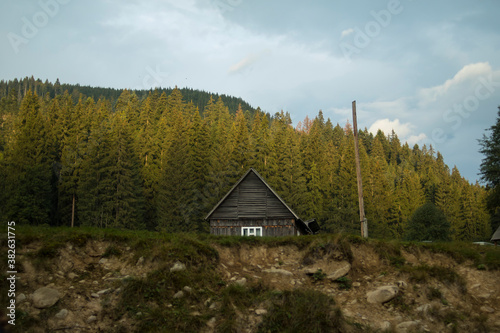 Wooden houses against the background of a dense coniferous forest