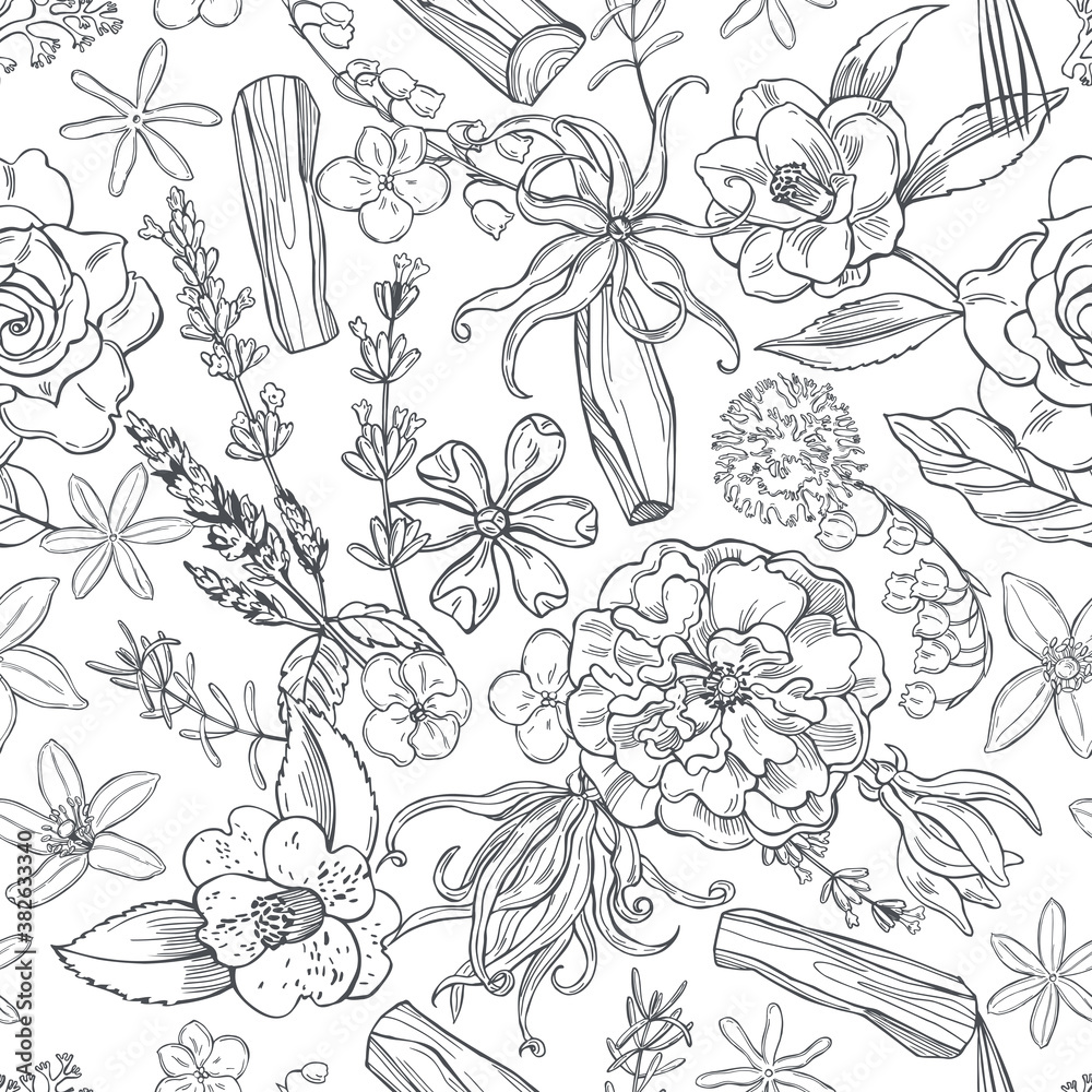 Plants and flowers for perfumery.Vector floral pattern.