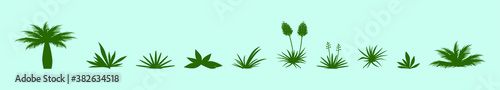 set of yucca plant cartoon icon design template with various models. vector illustration isolated on blue background photo