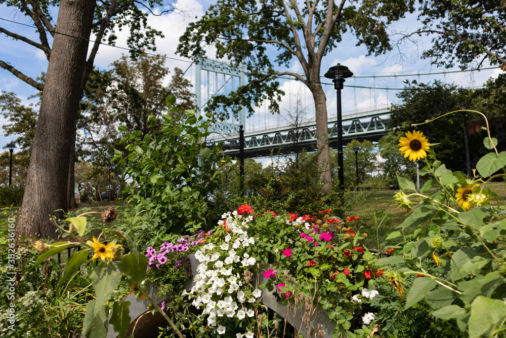 Beautiful Flowers and Plants at Astoria Park during Summer in Astoria Queens New York with the Triborough Bridge in the background Beautiful Flowers and Plants at Astoria Park during Summer in Astoria Queens New York with the Triborough Bridge in the background