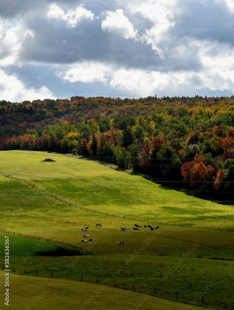 
A farm in autumn in the Appalachians, Quebec