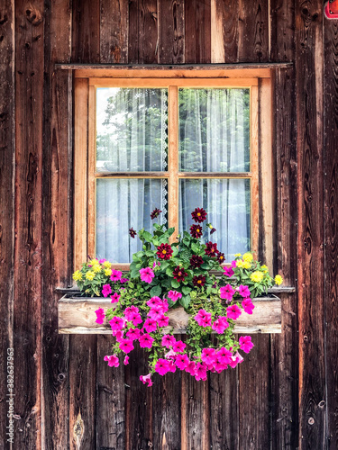 old window with flowers