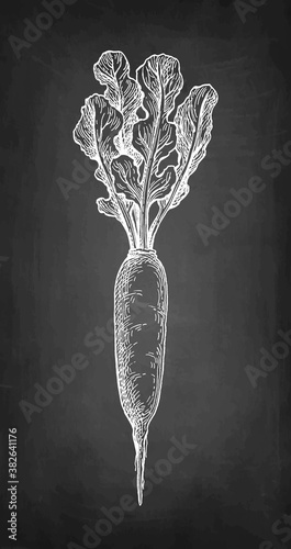 Chalk sketch of daikon.