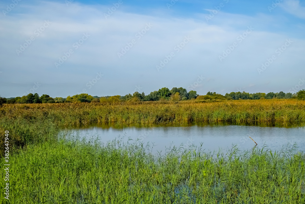 A view across the lake, reedbeds and marshes from the bird hide on RSPB Strumpshaw Nature Reserve in rural Norfolk