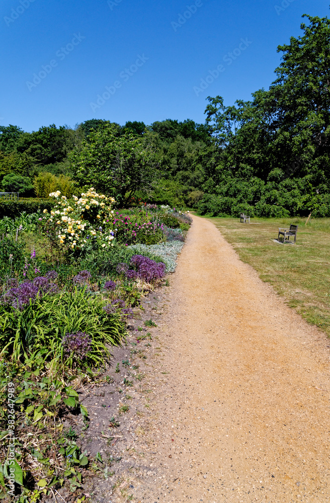 English garden in the summer