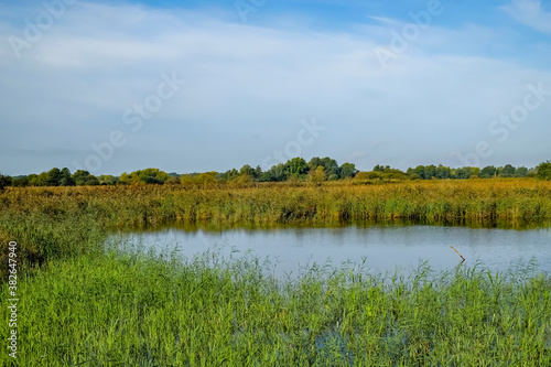 A view across the lake  reedbeds and marshes from the bird hide on RSPB Strumpshaw Nature Reserve in rural Norfolk