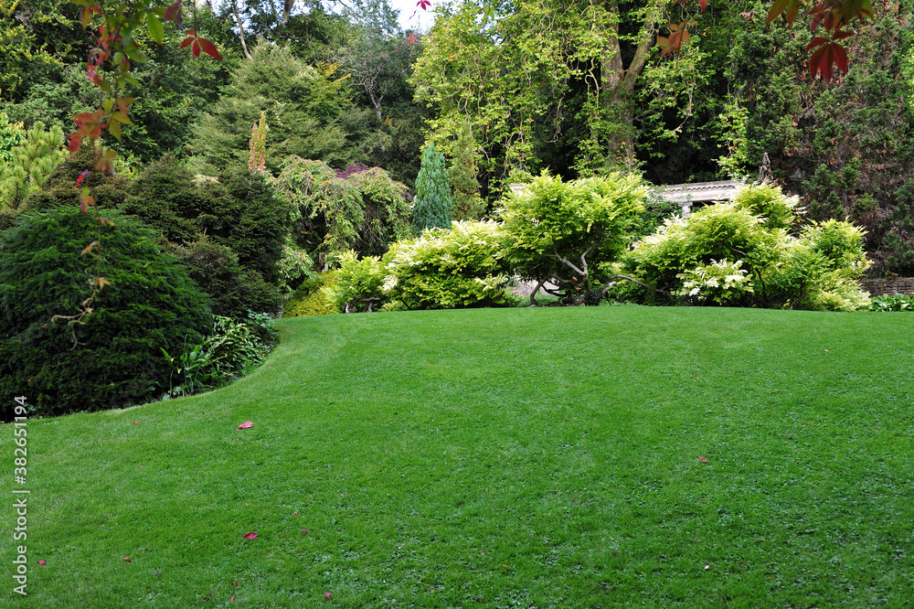 green grass lawn in a garden green grass lawn in a garden