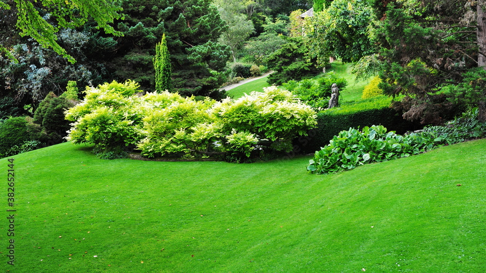 Obraz premium garden lawn