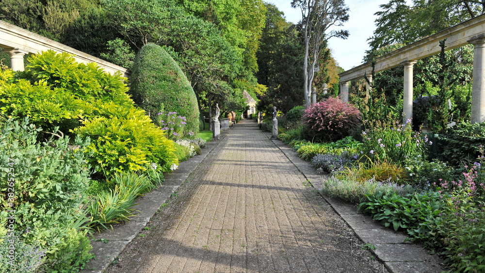 walkway in the garden