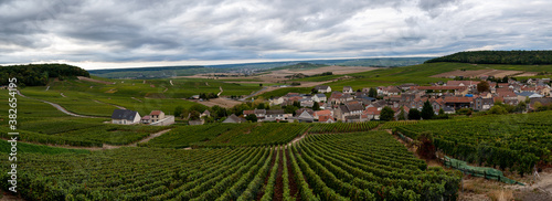 Landscape with green grand cru vineyards near Cramant, region Champagne, France in rainy day. Cultivation of white chardonnay wine grape on chalky soils of Cote des Blancs.