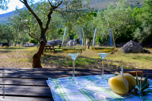 Summer picnic or lunch with tasting of white wine in olive tree groves in Lazio  Italy